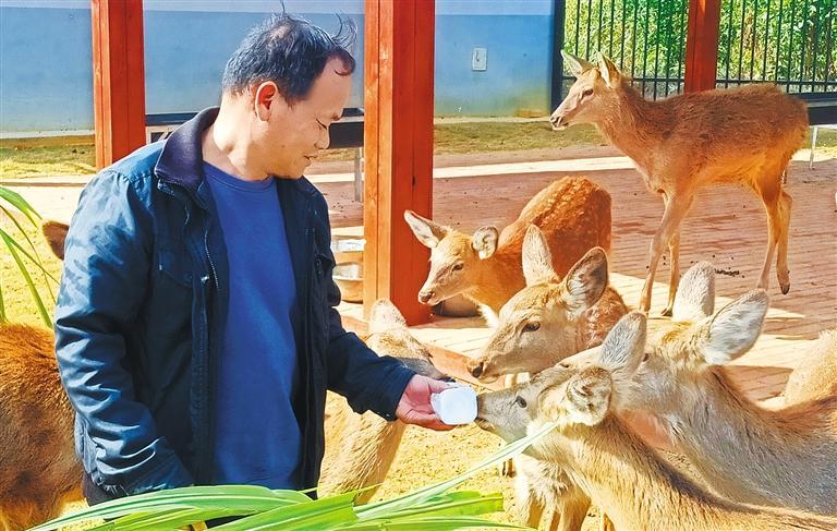量发展产业调研】林下生金不朽情缘游戏平台【高质