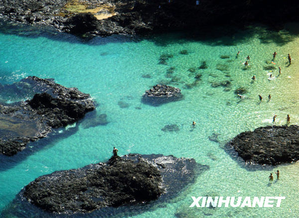 尔南多—迪诺罗尼亚岛不朽情缘版美丽的费